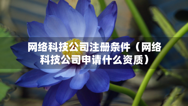 網(wǎng)絡(luò)科技公司注冊(cè)條件（網(wǎng)絡(luò)科技公司申請(qǐng)什么資質(zhì)）
