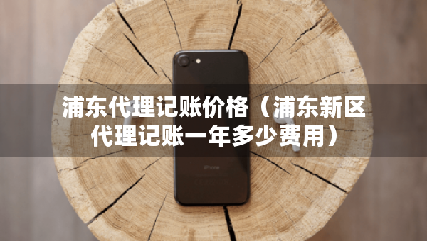 浦東代理記賬價格（浦東新區(qū)代理記賬一年多少費用）