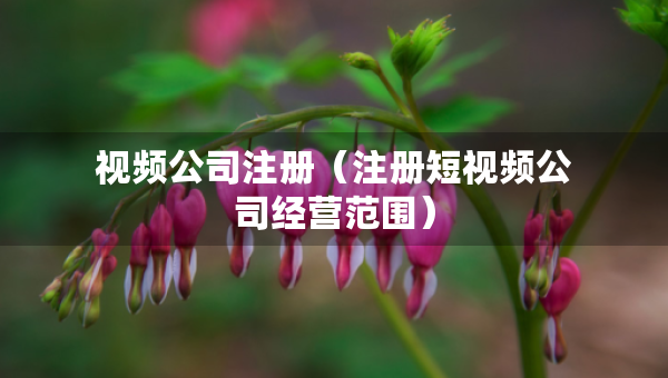 視頻公司注冊(cè)（注冊(cè)短視頻公司經(jīng)營(yíng)范圍）