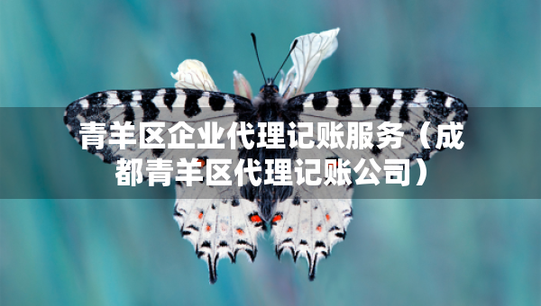 青羊區(qū)企業(yè)代理記賬服務（成都青羊區(qū)代理記賬公司）