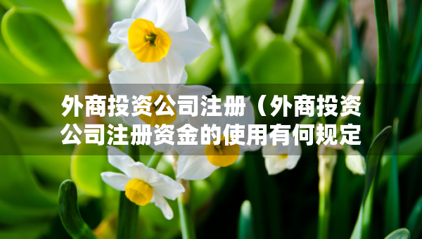 外商投資公司注冊（外商投資公司注冊資金的使用有何規(guī)定）