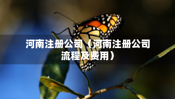 河南注冊(cè)公司（河南注冊(cè)公司流程及費(fèi)用）