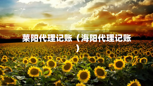 萊陽(yáng)代理記賬（海陽(yáng)代理記賬）