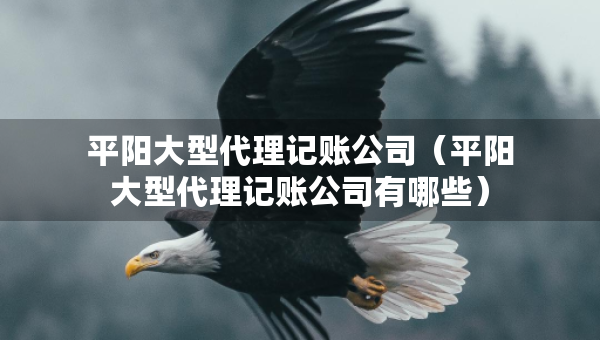 平陽(yáng)大型代理記賬公司（平陽(yáng)大型代理記賬公司有哪些）
