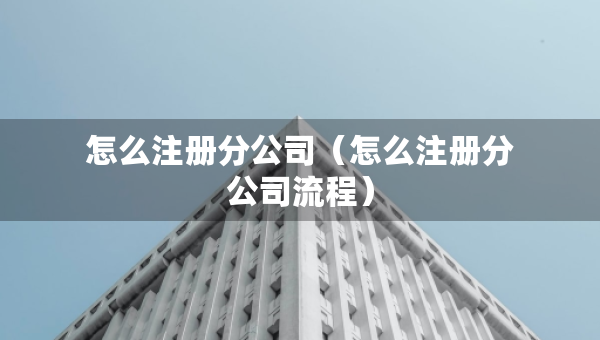 怎么注冊分公司（怎么注冊分公司流程）