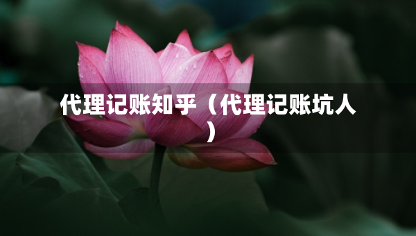 代理記賬知乎（代理記賬坑人）