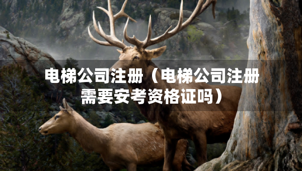 電梯公司注冊(cè)（電梯公司注冊(cè)需要安考資格證嗎）