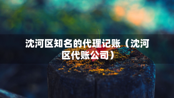 沈河區(qū)知名的代理記賬（沈河區(qū)代賬公司）