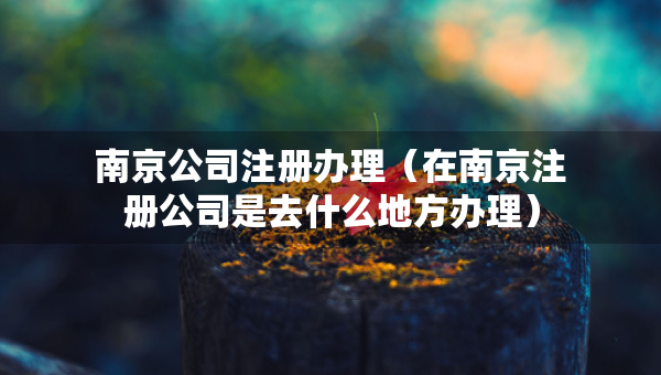 南京公司注冊(cè)辦理（在南京注冊(cè)公司是去什么地方辦理）