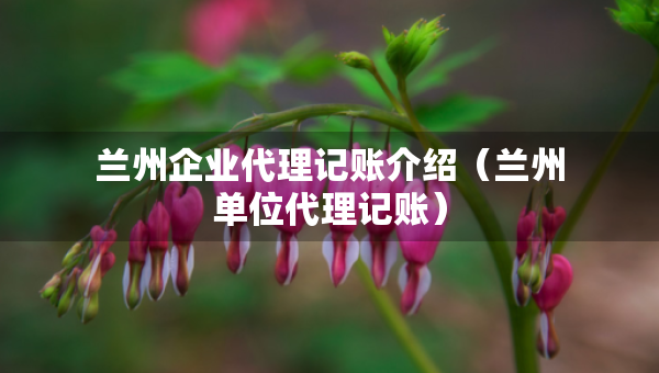蘭州企業(yè)代理記賬介紹（蘭州單位代理記賬）
