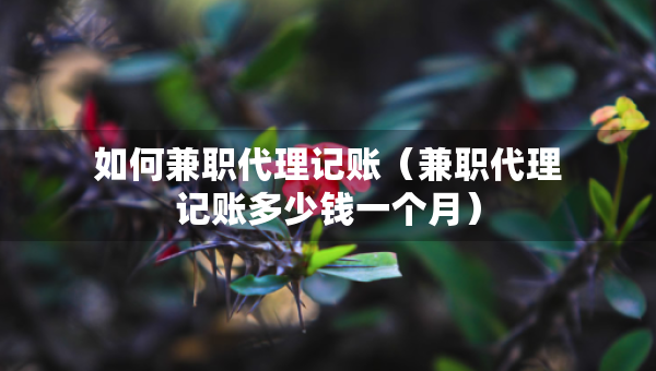 如何兼職代理記賬（兼職代理記賬多少錢一個月）