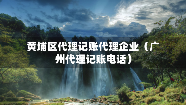 黃埔區(qū)代理記賬代理企業(yè)（廣州代理記賬電話）