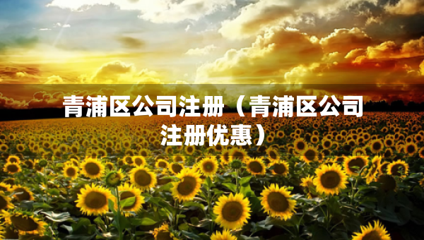 青浦區(qū)公司注冊（青浦區(qū)公司注冊優(yōu)惠）