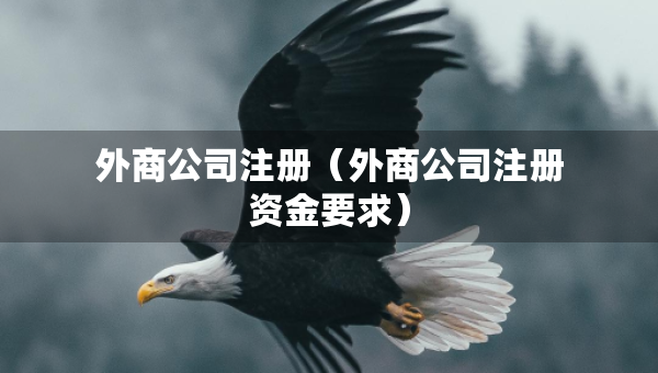 外商公司注冊（外商公司注冊資金要求）