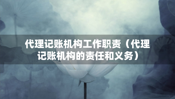 代理記賬機構(gòu)工作職責(zé)（代理記賬機構(gòu)的責(zé)任和義務(wù)）