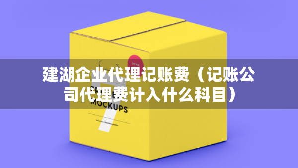 建湖企業(yè)代理記賬費（記賬公司代理費計入什么科目）