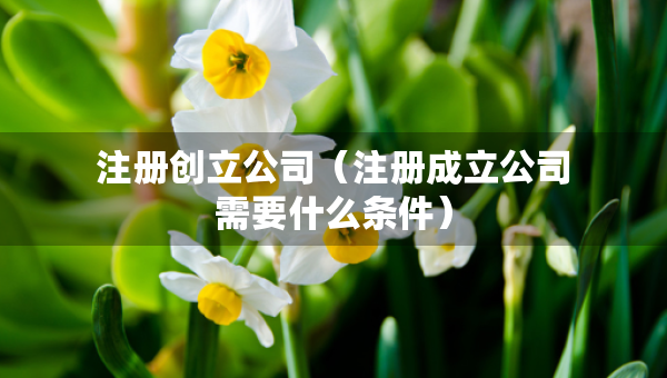 注冊創(chuàng)立公司（注冊成立公司需要什么條件）