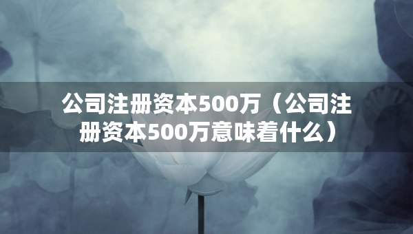 公司注冊(cè)資本500萬（公司注冊(cè)資本500萬意味著什么）
