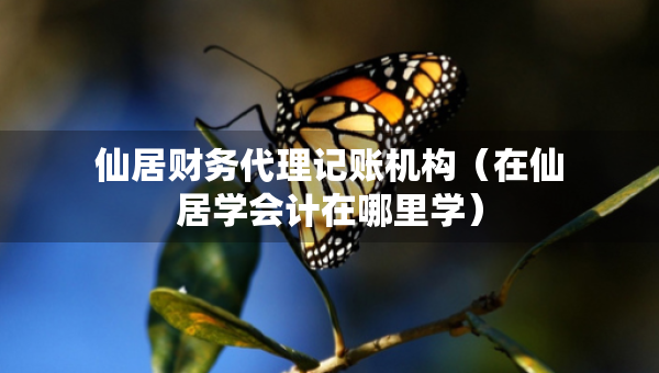 仙居財務(wù)代理記賬機構(gòu)（在仙居學會計在哪里學）