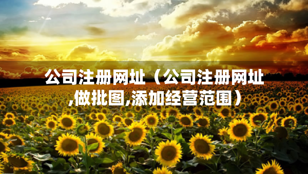 公司注冊(cè)網(wǎng)址（公司注冊(cè)網(wǎng)址,做批圖,添加經(jīng)營(yíng)范圍）