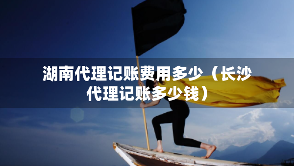 湖南代理記賬費(fèi)用多少（長沙代理記賬多少錢）