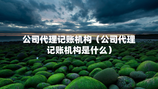 公司代理記賬機(jī)構(gòu)（公司代理記賬機(jī)構(gòu)是什么）