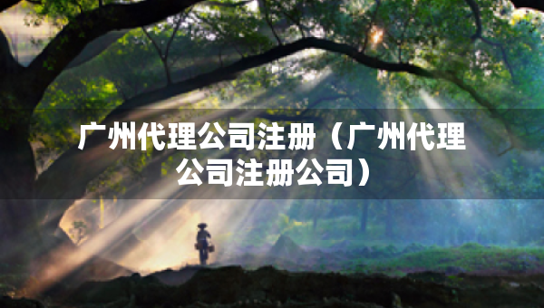 廣州代理公司注冊(cè)（廣州代理公司注冊(cè)公司）