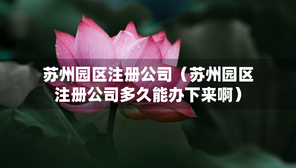 蘇州園區(qū)注冊公司（蘇州園區(qū)注冊公司多久能辦下來?。? title=