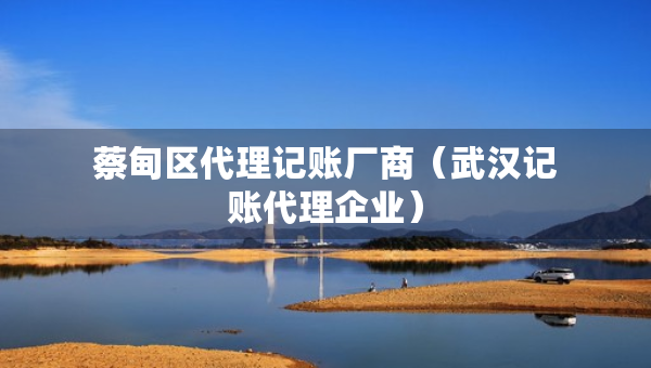蔡甸區(qū)代理記賬廠商（武漢記賬代理企業(yè)）