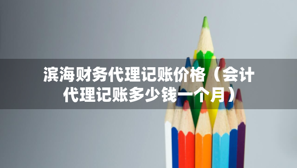 濱海財(cái)務(wù)代理記賬價(jià)格（會(huì)計(jì)代理記賬多少錢一個(gè)月）