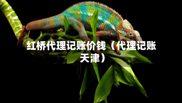 紅橋代理記賬價錢（代理記賬 天津）