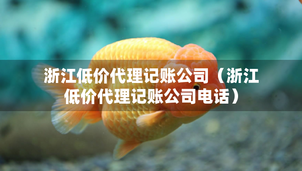 浙江低價(jià)代理記賬公司（浙江低價(jià)代理記賬公司電話(huà)）
