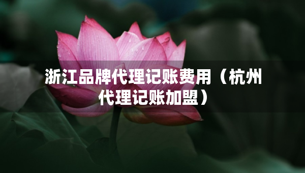 浙江品牌代理記賬費(fèi)用（杭州代理記賬加盟）