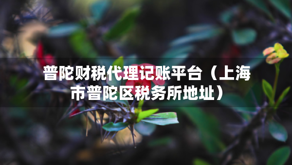 普陀財(cái)稅代理記賬平臺（上海市普陀區(qū)稅務(wù)所地址）