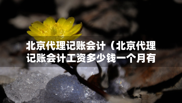 北京代理記賬會計（北京代理記賬會計工資多少錢一個月有提成嗎）