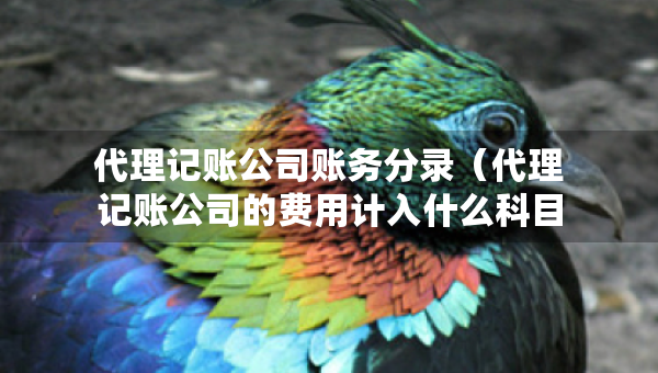 代理記賬公司賬務(wù)分錄（代理記賬公司的費(fèi)用計(jì)入什么科目）