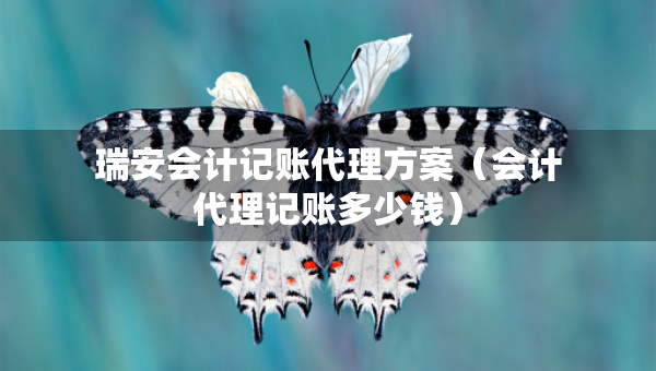 瑞安會計記賬代理方案（會計代理記賬多少錢）
