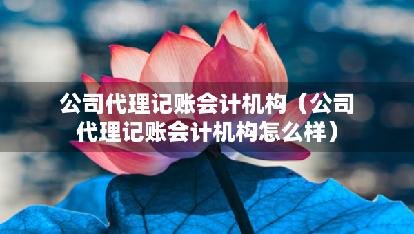 公司代理記賬會(huì)計(jì)機(jī)構(gòu)（公司代理記賬會(huì)計(jì)機(jī)構(gòu)怎么樣）