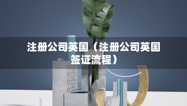 注冊(cè)公司英國（注冊(cè)公司英國簽證流程）