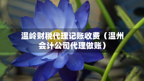 溫嶺財(cái)稅代理記賬收費(fèi)（溫州會(huì)計(jì)公司代理做賬）