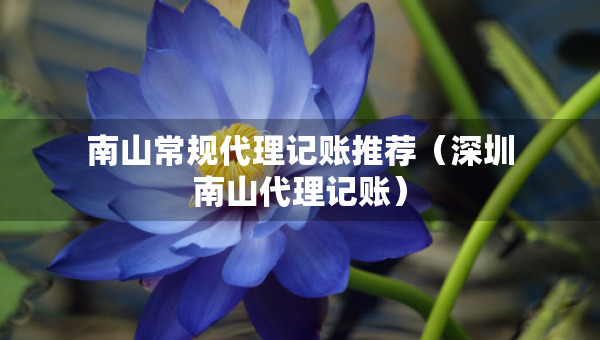 南山常規(guī)代理記賬推薦（深圳南山代理記賬）