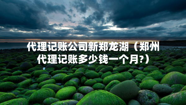 代理記賬公司新鄭龍湖（鄭州代理記賬多少錢一個月?）