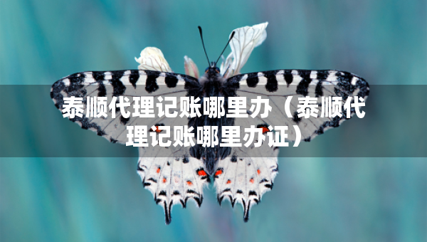 泰順代理記賬哪里辦（泰順代理記賬哪里辦證）