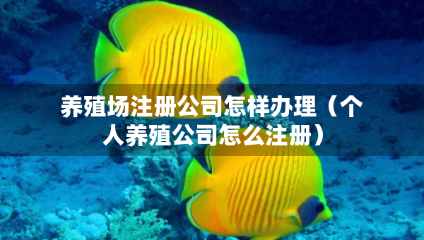 養(yǎng)殖場(chǎng)注冊(cè)公司怎樣辦理（個(gè)人養(yǎng)殖公司怎么注冊(cè)）