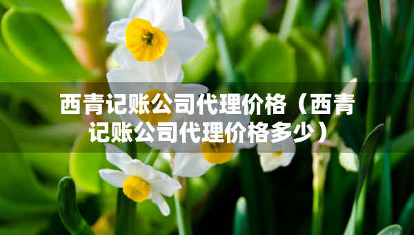 西青記賬公司代理價格（西青記賬公司代理價格多少）