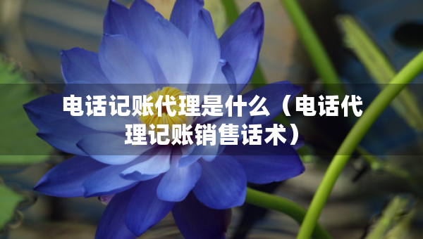 電話記賬代理是什么（電話代理記賬銷售話術(shù)）