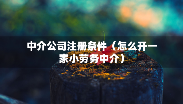 中介公司注冊條件（怎么開一家小勞務中介）