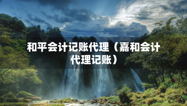 和平會計(jì)記賬代理（嘉和會計(jì)代理記賬）
