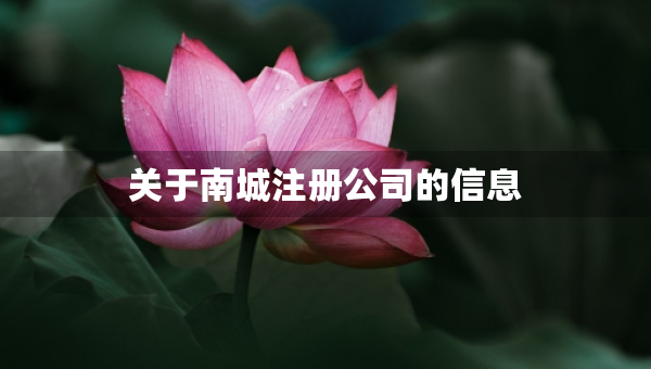 關(guān)于南城注冊(cè)公司的信息