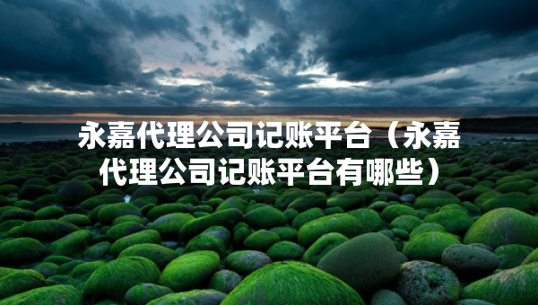 永嘉代理公司記賬平臺(tái)（永嘉代理公司記賬平臺(tái)有哪些）